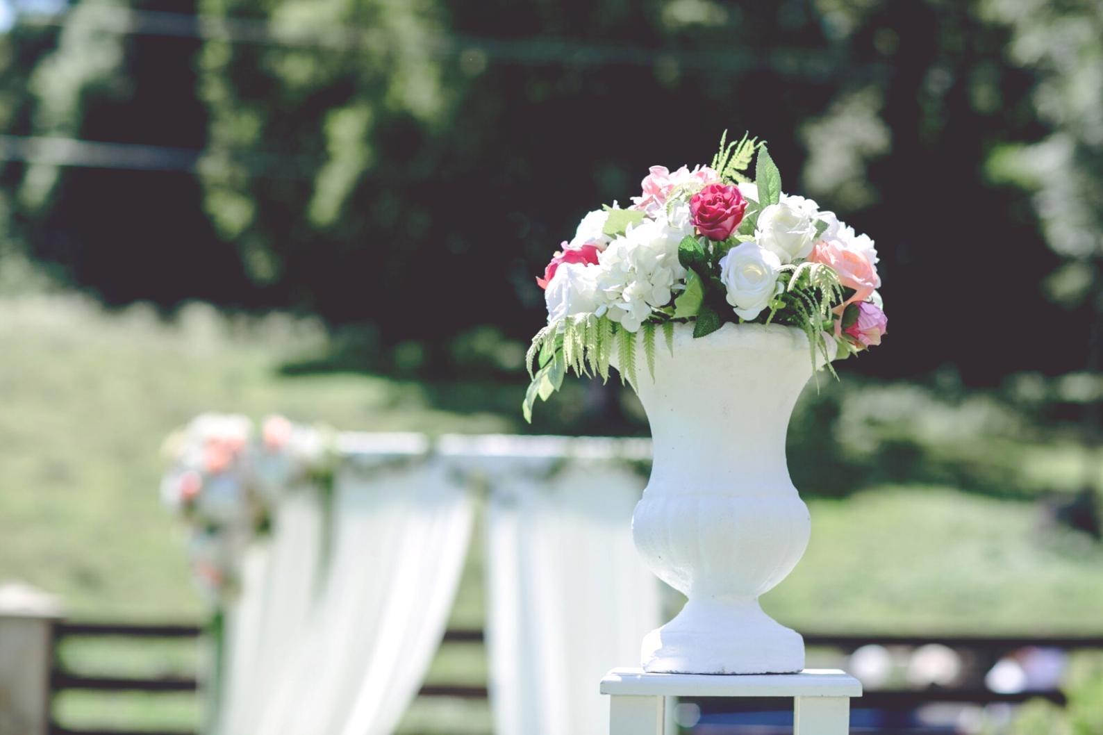 Dried botanical composition in natural setting